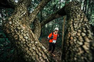 BIB: 
                            <button type="button" onclick="openModal(25394289)" class="btn btn-primary btn-sm float-right btn-popup" data-toggle="modal" data-target=".modal-high-quality">
                        <i class="fas fa-shopping-cart"></i> Add to Cart
                    </button>
                                            <button type="button" onclick="isThisMe(25394289, true)" class="btn btn-success btn-sm float-right btn-popup btn-isme hidden" data-toggle="tooltip" data-placement="bottom" title="นี่คือรูปของคุณใช่ไหม คลิกที่นี่เพื่อเอาเข้าอัลบั้ม">
                        <i class="fas fa-plus"></i> Add to album
                    </button>
                    <button type="button" onclick="isThisMe(25394289, false)" class="btn btn-warning btn-sm float-right btn-popup btn-isnotme hidden">
                        <i class="fas fa-ban"></i> Remove from album
                    </button>